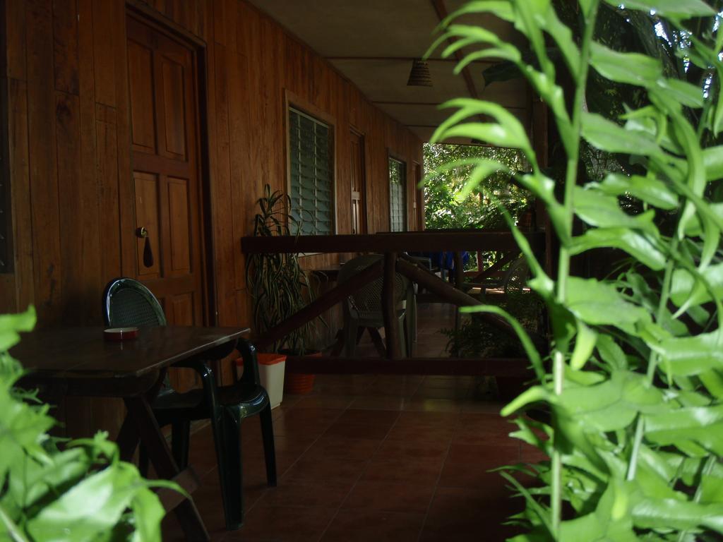 Guest House Posada Ixchel El Remate Kültér fotó