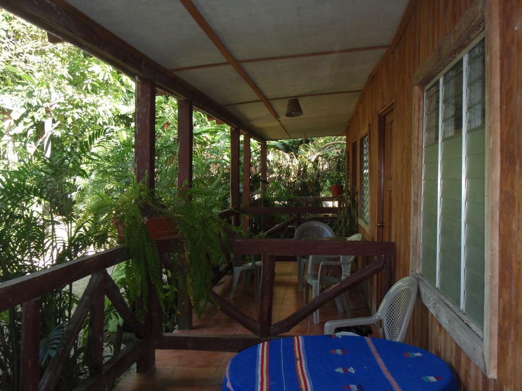 Guest House Posada Ixchel El Remate Szoba fotó