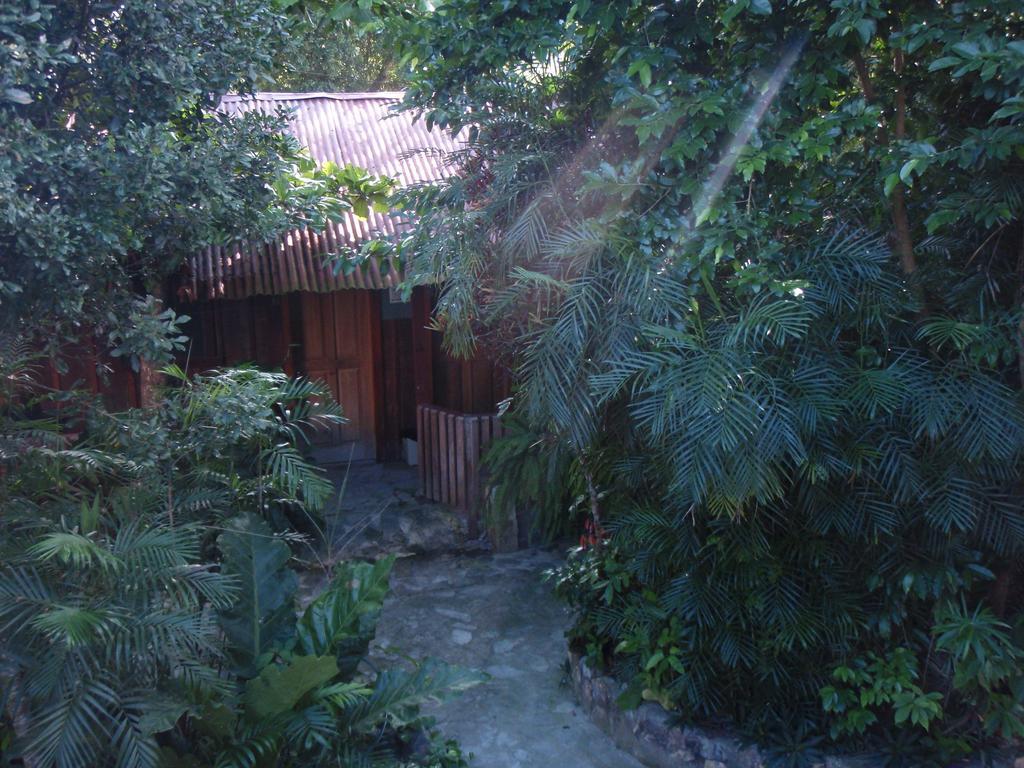Guest House Posada Ixchel El Remate Kültér fotó