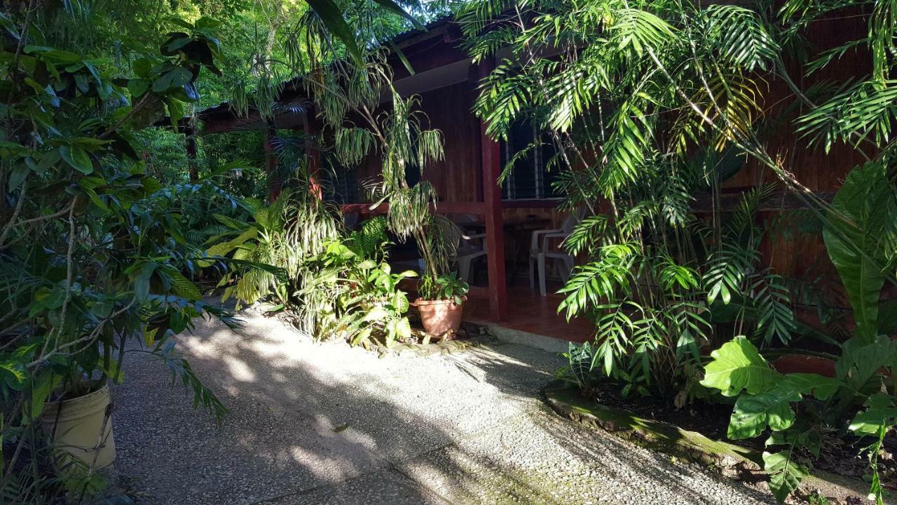 Guest House Posada Ixchel El Remate Kültér fotó
